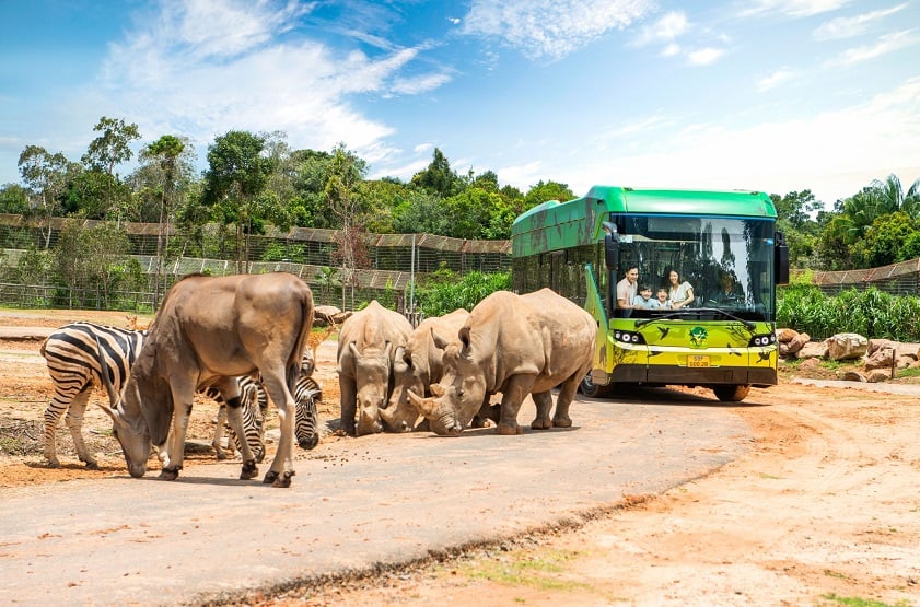 Đặt ngay Combo Vinpearl Phú Quốc để trải nghiệm tham quan tại Safari Phú Quốc